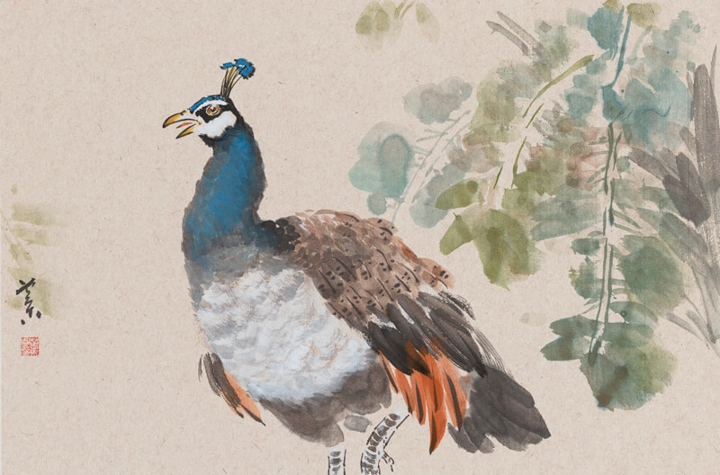 杨芝东写意孔雀小品——2022新年艺术专辑